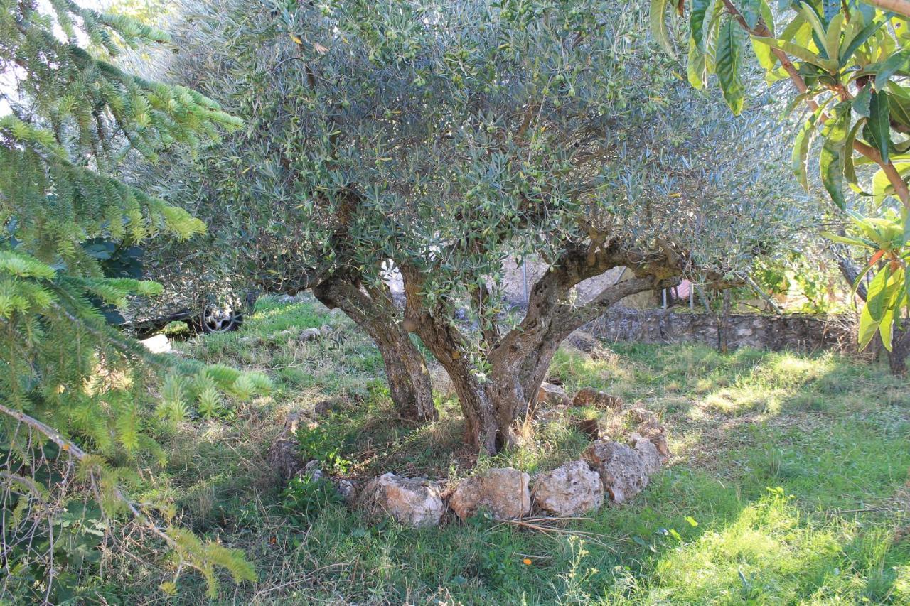 Casa Rural Baobab Romancos Exterior foto